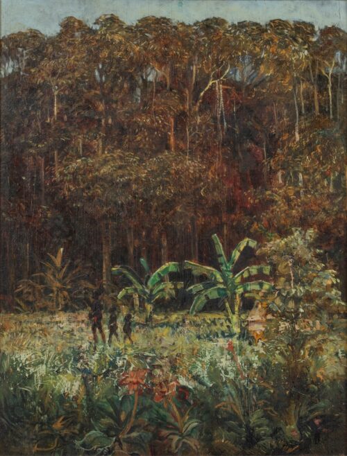Frans Simon Baljon-Oerbos-Primary Forest-Republic of Suriname