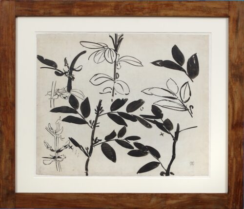 Gerrit Willem Dijsselhof-A study of Plants and Flowers