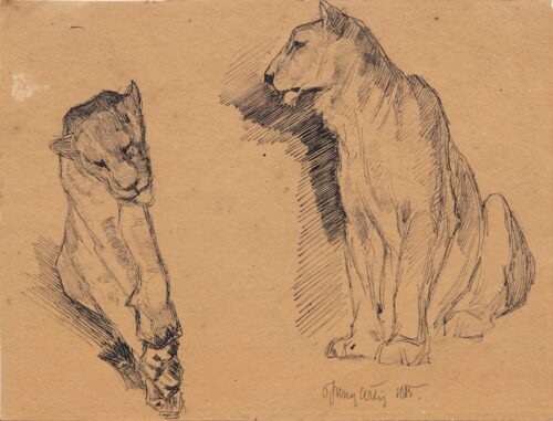 Jan van Essen-Lionesses