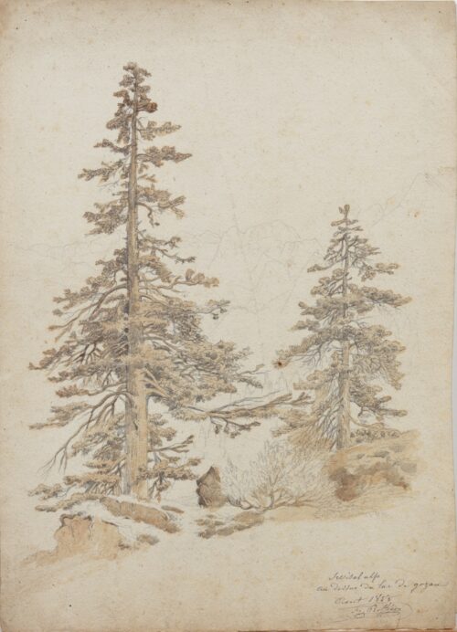 Jean François Xavier Roffiaen-Pine Trees in a mountainous landscape near Lake Gosau, Austria