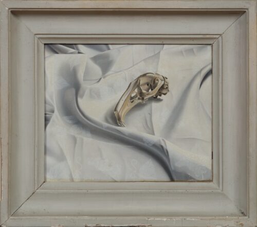 Jan Hendrik Verstegen-The napkin with rabbit skull