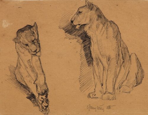 Jan van Essen-Lionesses