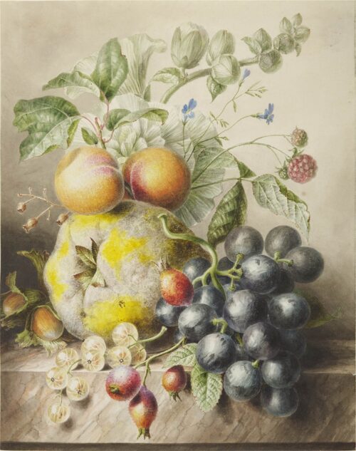 Willem Hekking Senior-A stilllife with apricots, grapes and gooseberries