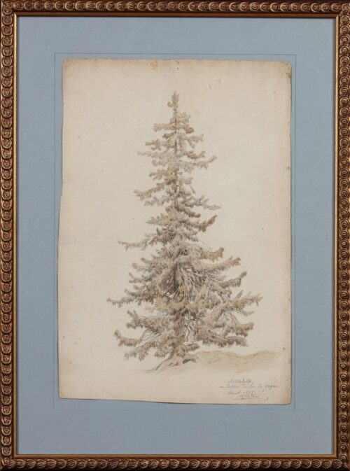 Jean François Xavier Roffiaen-Pine Tree in a mountainous landscape near Lake Gosau, Austria