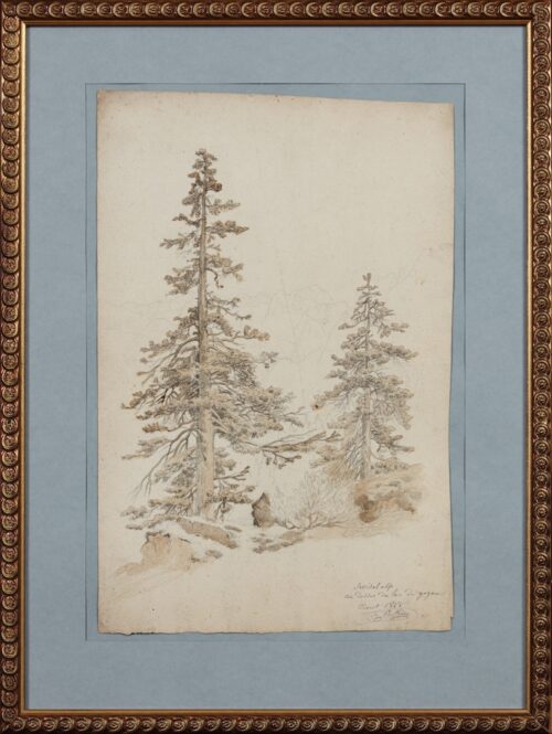 Jean François Xavier Roffiaen-Pine Trees in a mountainous landscape near Lake Gosau, Austria